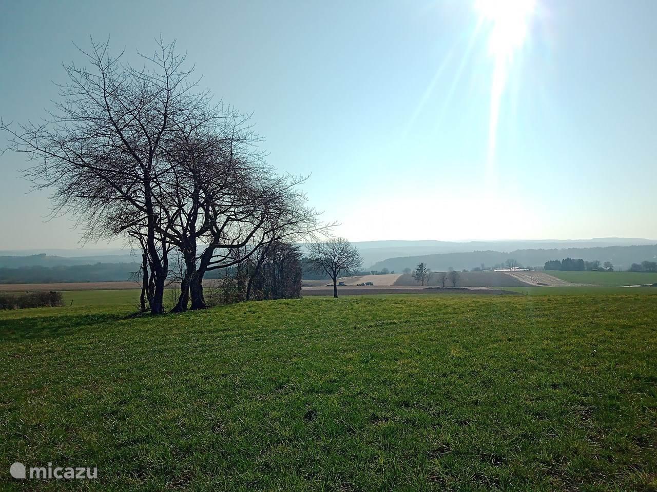 Omgeving