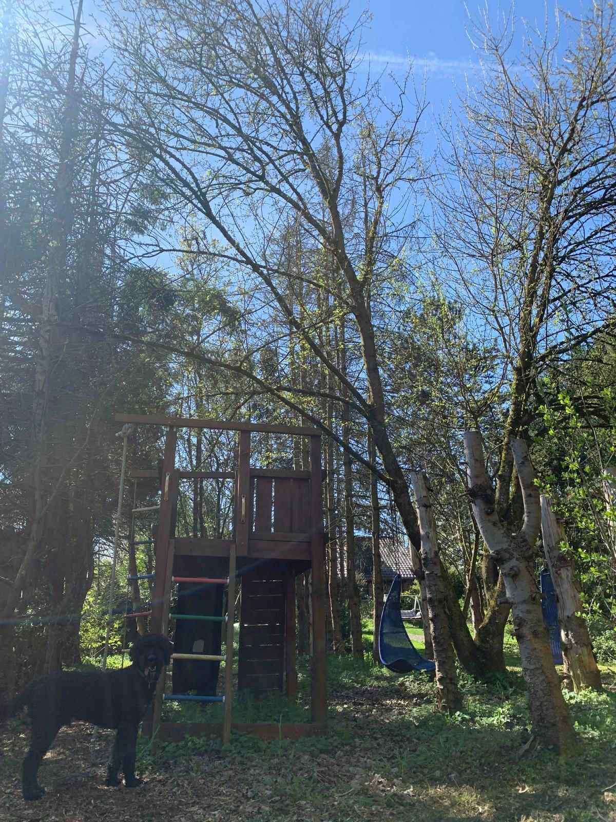 De omheinde tuin