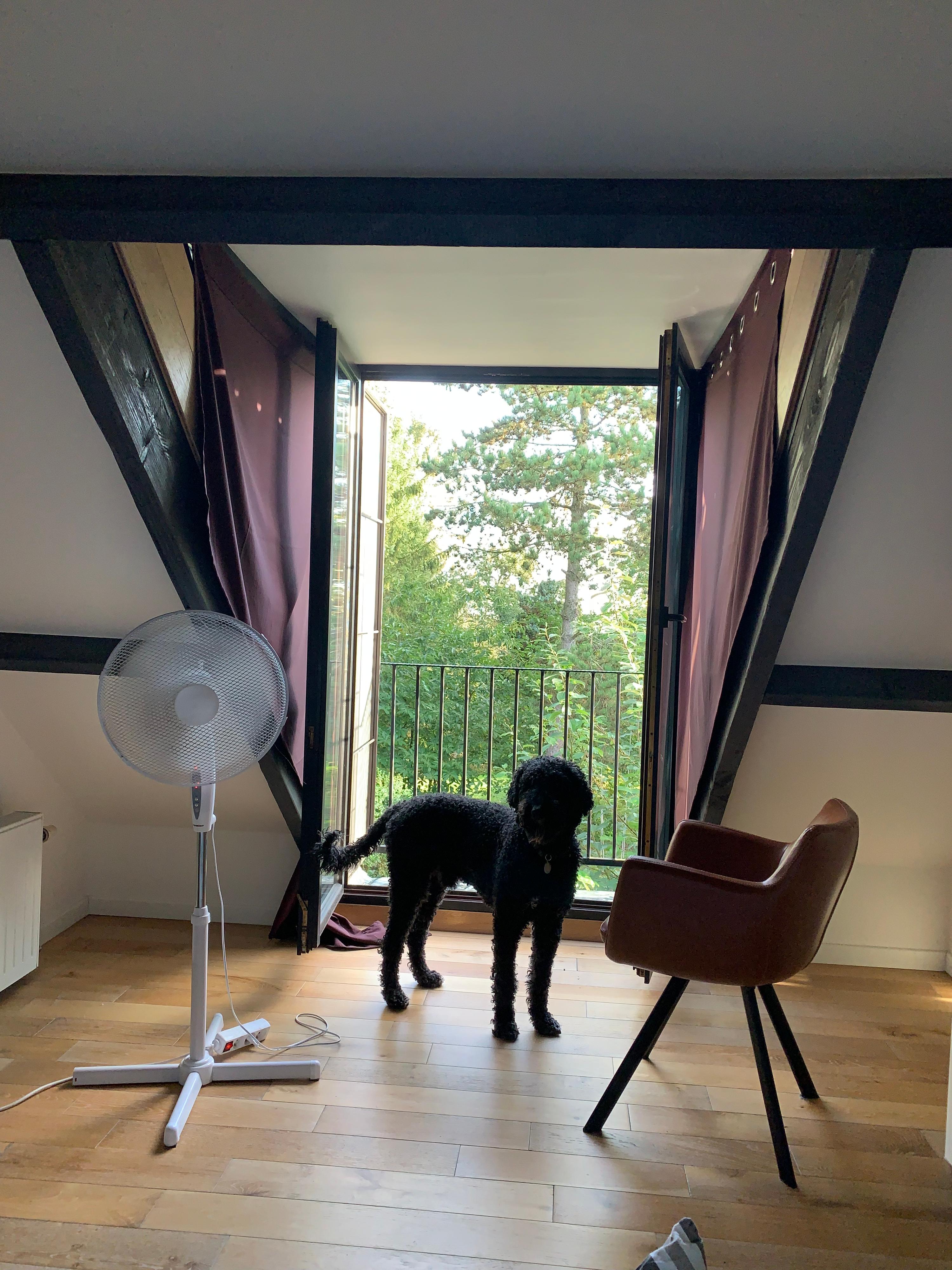 Slaapkamer