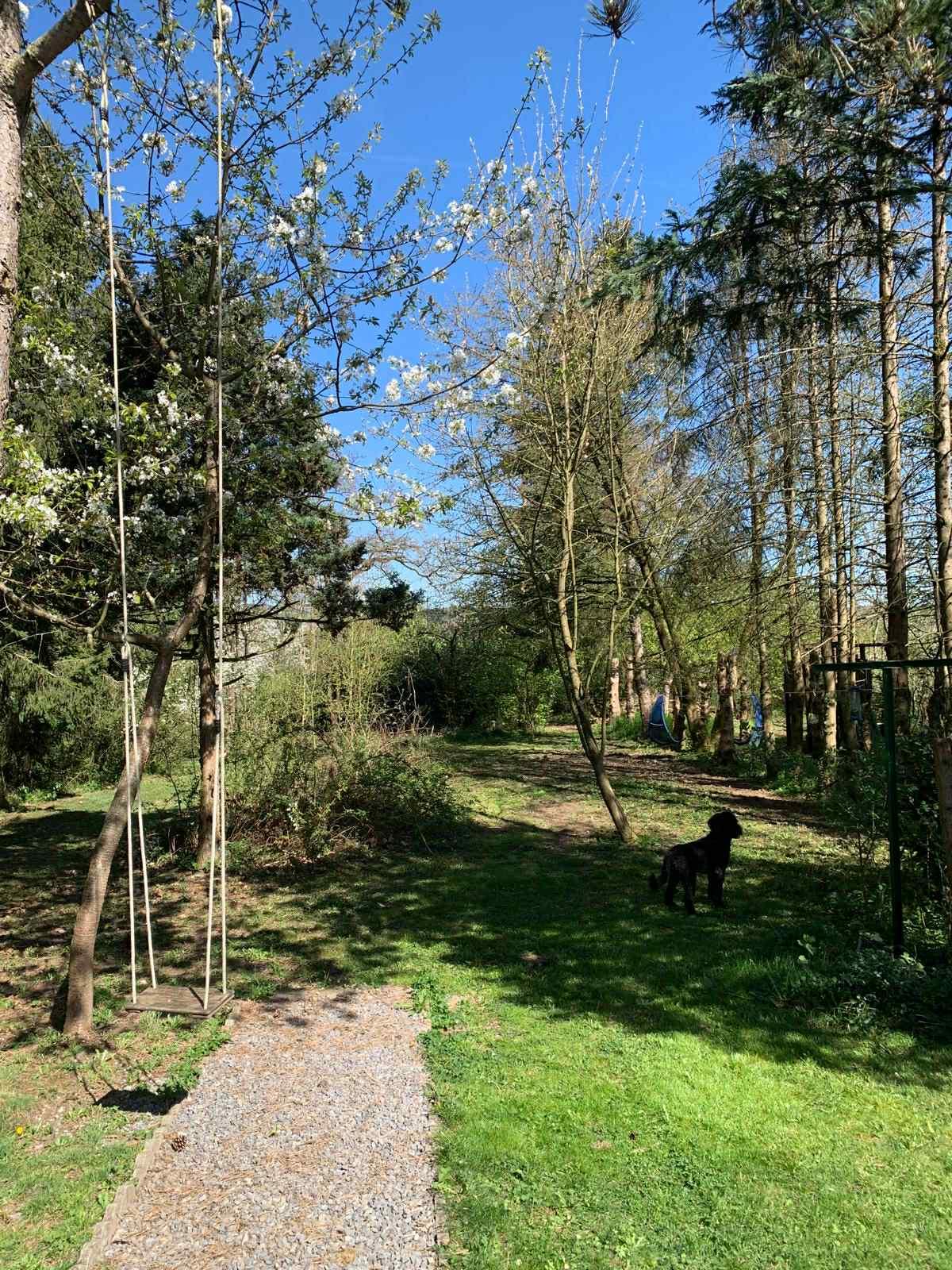 De omheinde tuin