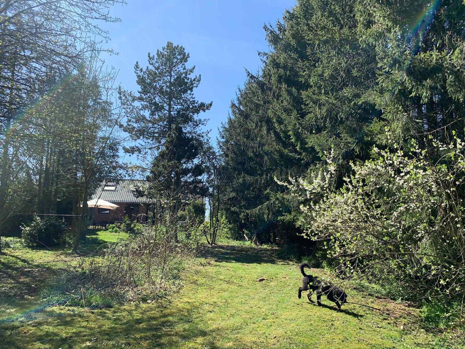 De omheinde tuin