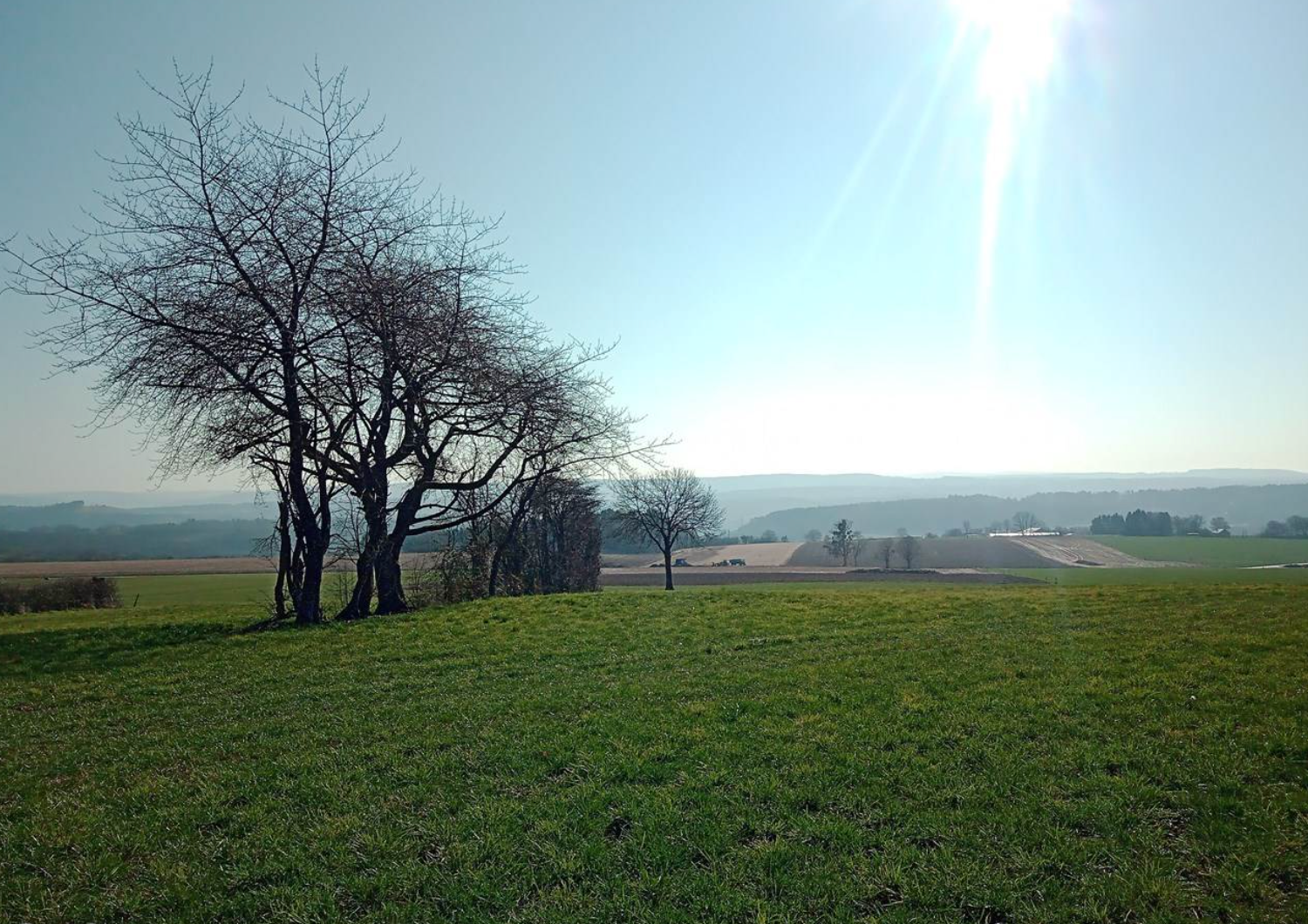 Omgeving