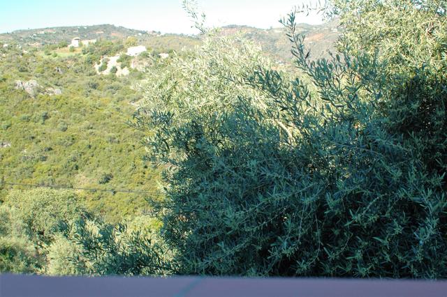 A serene haven where every element promotes wellness and calm.