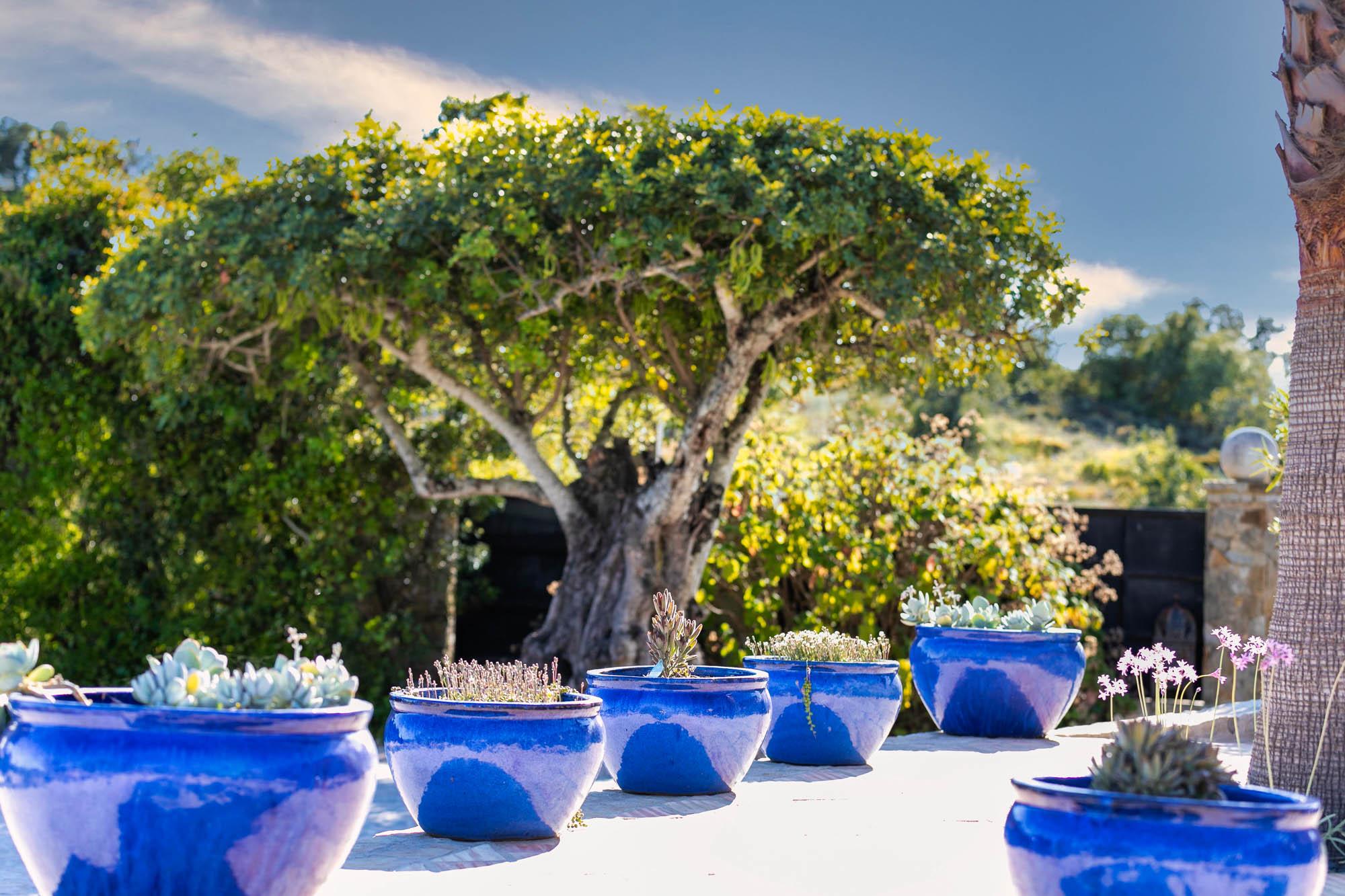 Villa Maya