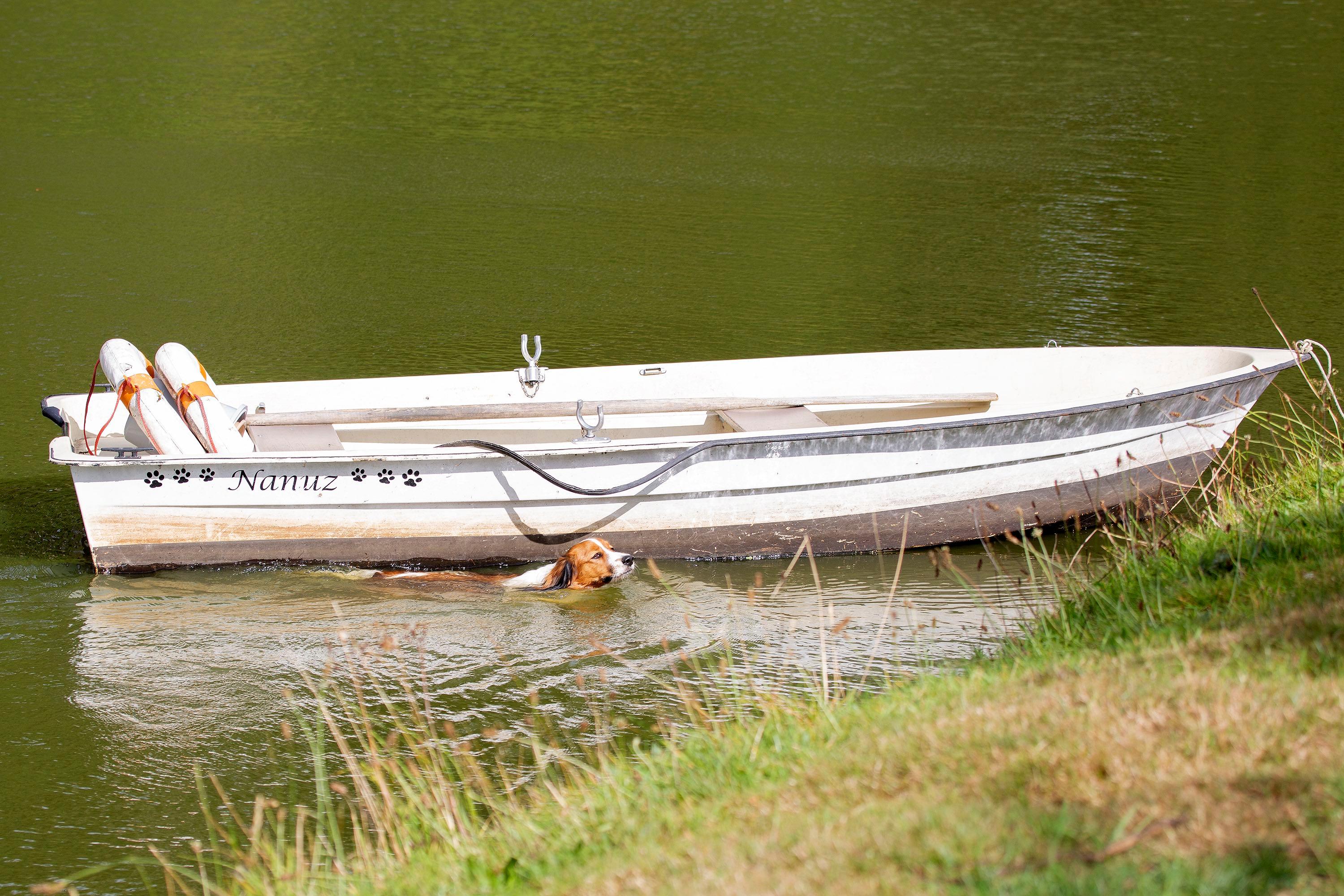 Bootje varen op de vijver