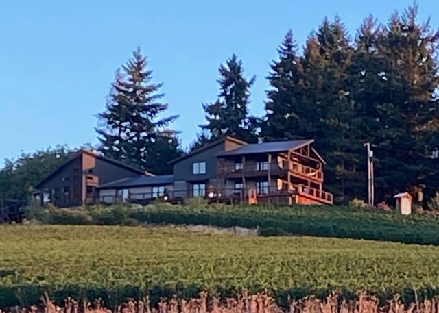 Guest House overlooking estate vineyard