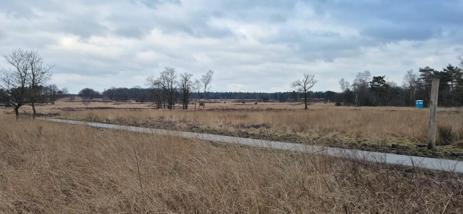 Wandelen met de hond start direct bij het park