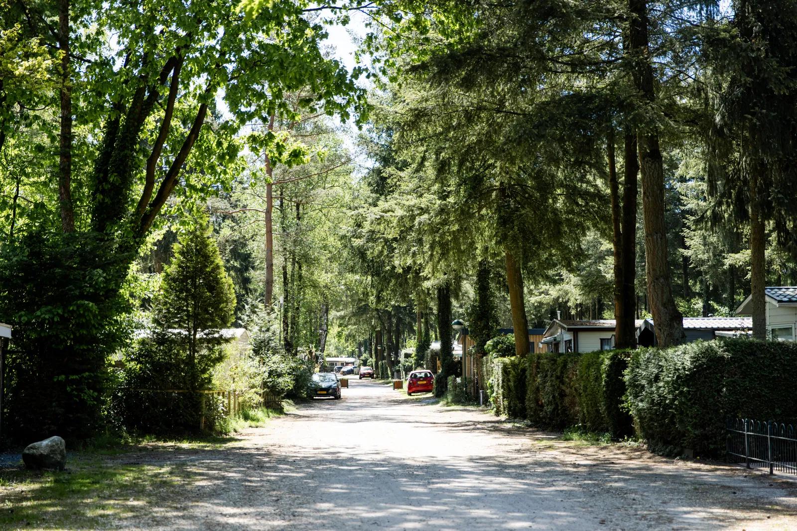 Park 't Veluws Hof 